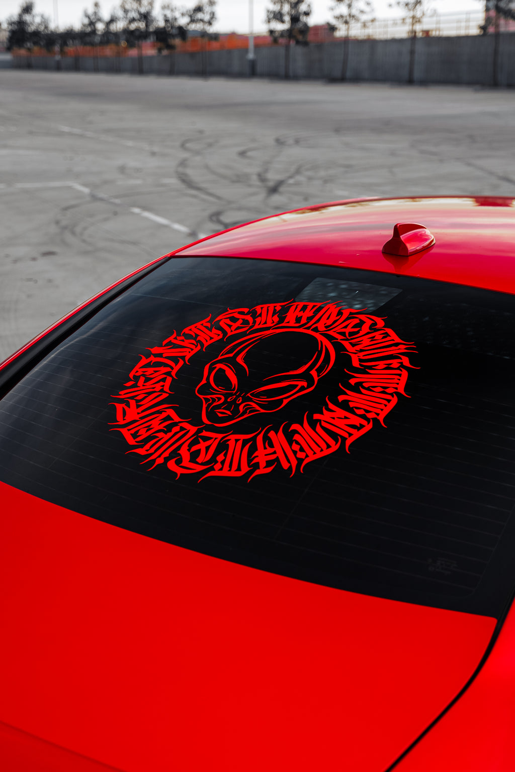 BIG SIGNATURE BANNER